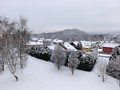 Ve Čtvrtek Česko zasype sníh. 