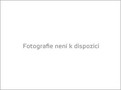 Ilustrační foto.