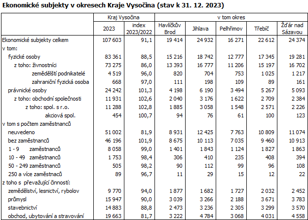 Ekonomick subjekty v okresech Kraje Vysoina (stav k 31. 12. 2023)