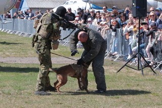  Ukázka výcviku služebních psů 24. základny Dopravního letectva