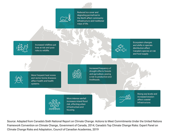 A map of canada with blue rectangles
AI-generated content may be incorrect.