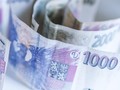 bisnode nespolehliv� pl�tci ilustra�n� obr�zek