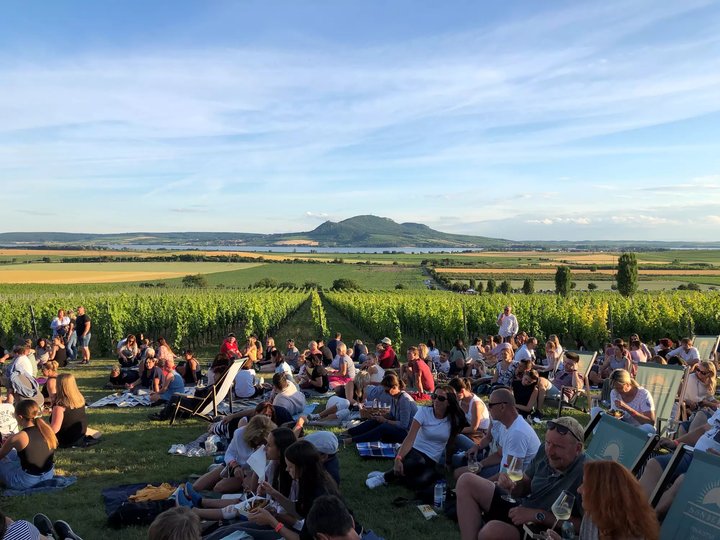 Hudba Na Vinicích