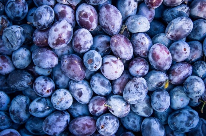 Švestky jsou plné antioxidantů, přírodních cukrů i vlákniny