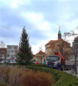 Instalace vnonho stromu - 22. 11. 2024