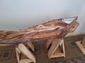 Po�kozen� tr�my z v��