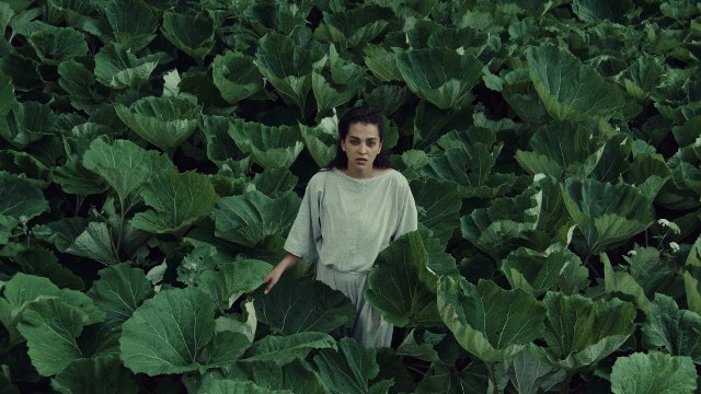 � R&A 2026: Orla