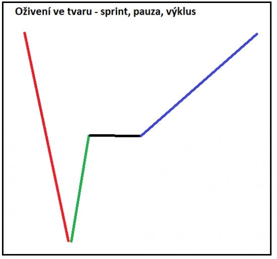 Oiven ve tvaru - sprint, pauza, vklus