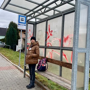 
                                Pokrban a posprejovan zastvky MHD ek obmna. Technick sluby postupn oprav pes ti destky pstek po celm mst. FOTO: Pavla Komrkov
                                    