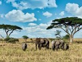 Cestovn� poji�t�n� Tanzanie a Zanzibar 2026