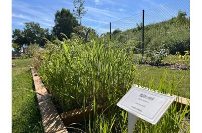 Arboretum nabz chladivou ozu i historii zemdlstv na Han