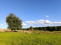 Následující dny přinesou slunečné a teplé počasí