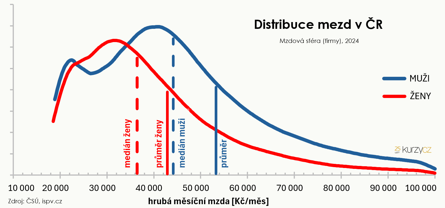 Rozložení mezd mužů a žen, mzdy ve firmách 2024
