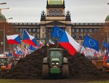 Zemdlci protest Praha