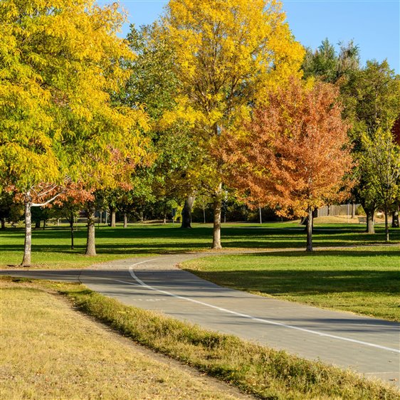 park