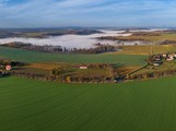 Uniktn radkovsk alej dostala dalch dvacet strom