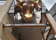 BCPP a b�k (ilustra�n�)