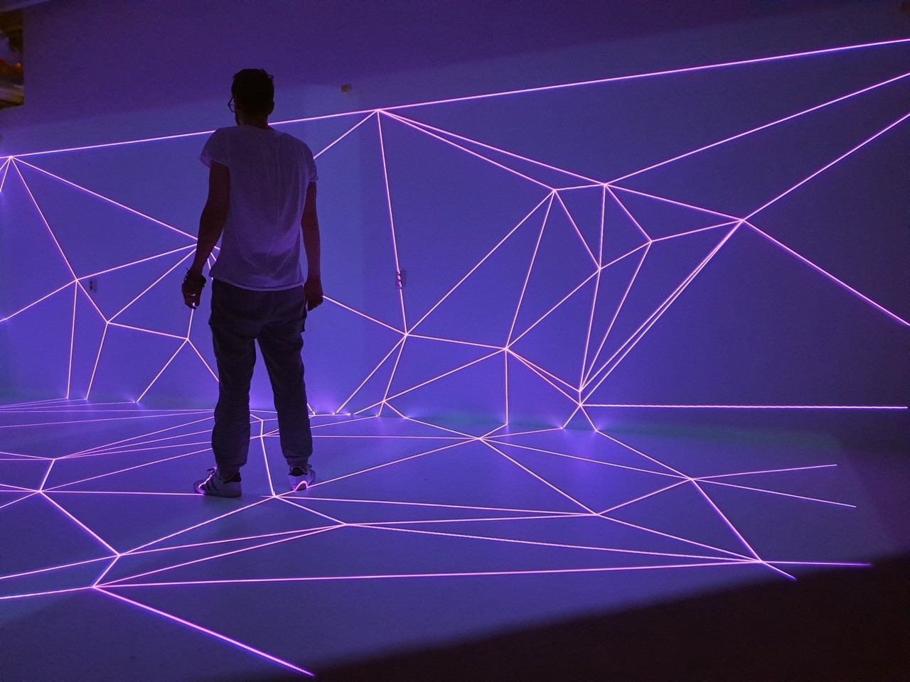 Proudy Roelof Knol, Signal festival