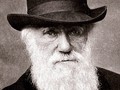 Charles Darwin 1880.jpg