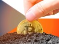 Zlatá mince bitcoin zasazená do země před českou vlajkou symbolizuje rostoucí zájem Čechů o kryptoměny a jejich regulaci.