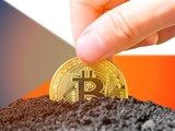 Zlatá mince bitcoin zasazená do země před českou vlajkou symbolizuje rostoucí zájem Čechů o kryptoměny a jejich regulaci.