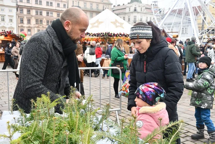 Fotografie: R. Žáková, R. Muchka, M. Chaloupka 251201_Sazenice_stromecek_1