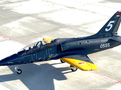 Skyfox L-39