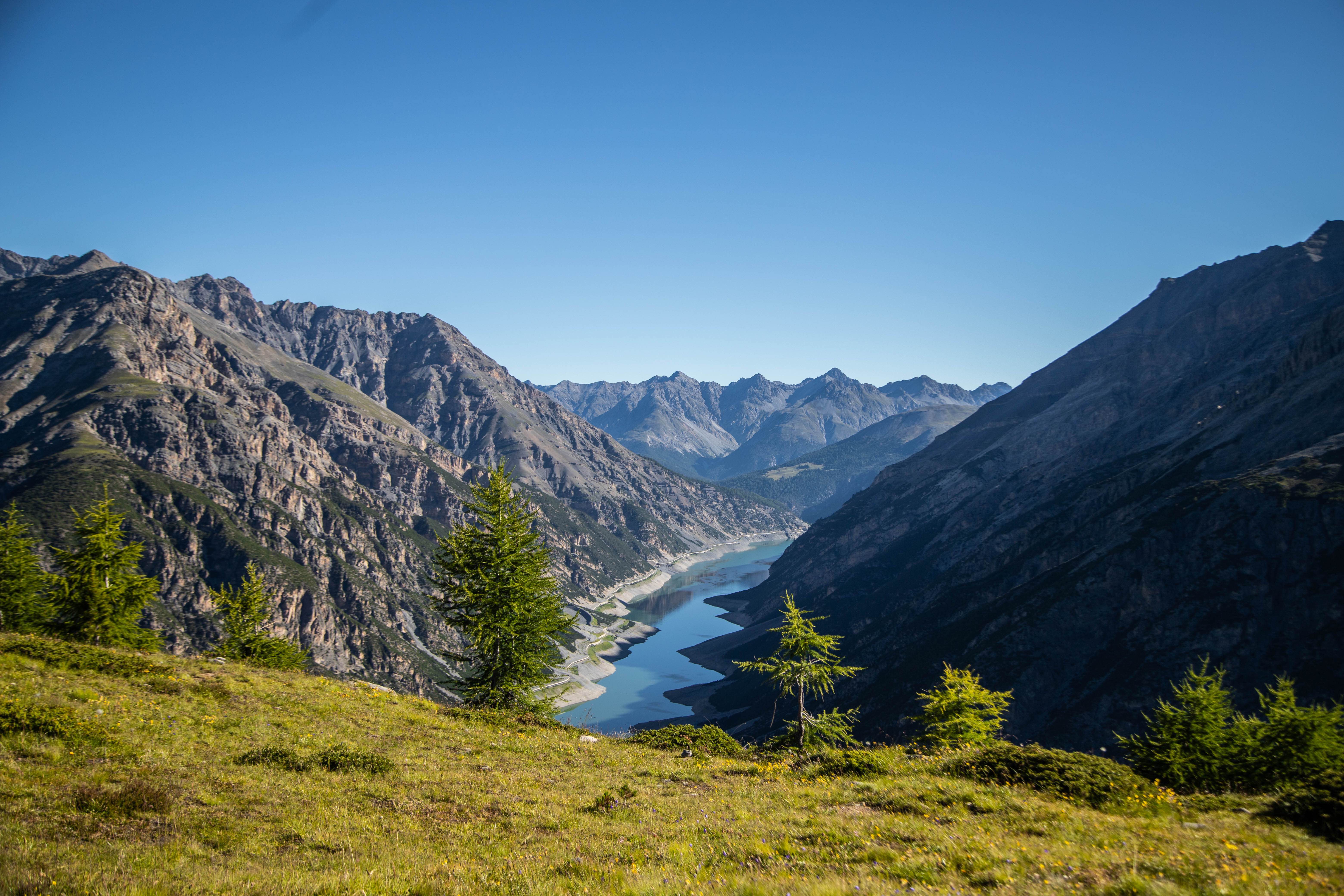 ilustrační foto Summer landscape
