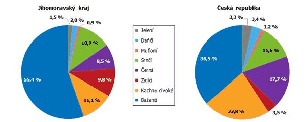 Graf 2 Odstel vybranch druh zve v roce 2020