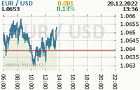 Online graf kurzu usd/eur