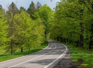 V srpnu zanou pravy na silnici mezi Novm Borem a Svorem. Stavba potrv dva roky