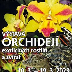 Do Jihoeskho muzea se po roce opt vrac orchideje.