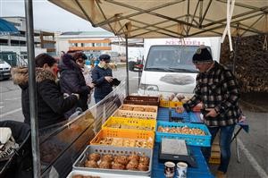 Pravideln tern trhy u fotbalovho stadionu