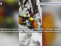 Ilustrační foto.