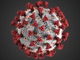 Koronavirus