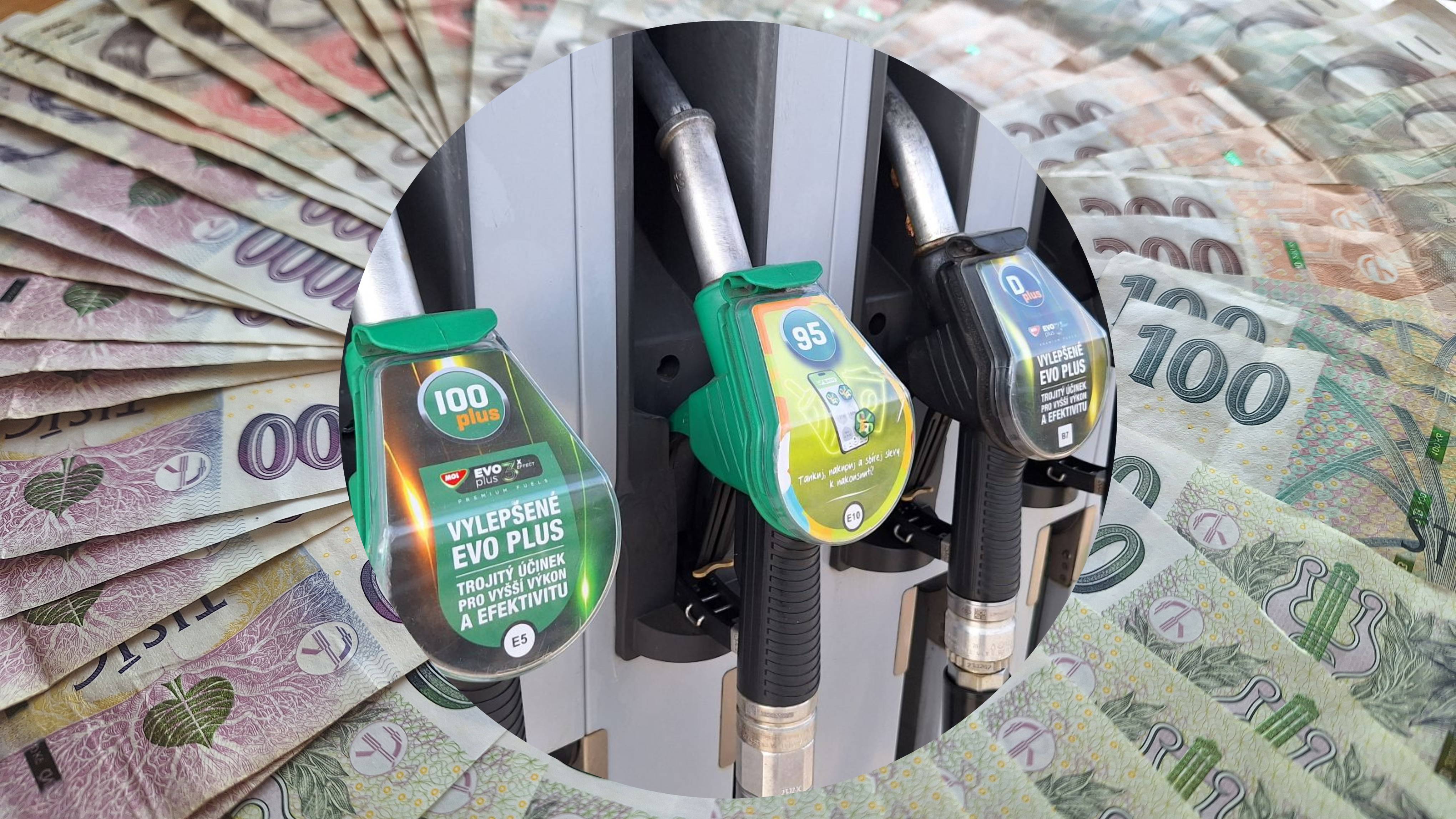 Viceguvernérka ČNB Zamrazilová k cenám PHM