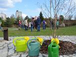 Nov park Podzemnk na Koutce vznikl podle pn lid