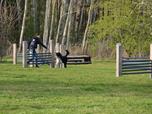 Nov park Podzemnk na Koutce vznikl podle pn lid