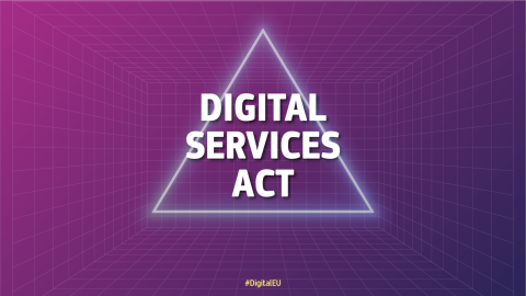 text Digital Services Act inside a white triangle against a purple background