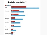 Do �eho investujete? Pr�zkum
