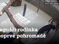 Ilustrační foto.