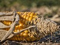 Ilustrační foto.