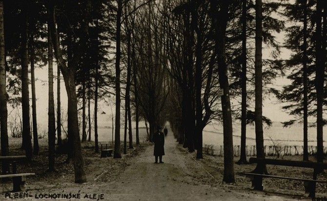 Zdroj foto: Sprva veejnho statku msta Plzn (1920)