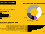 Infografika