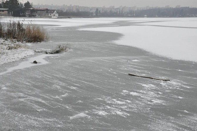 Zdroj foto: Sprva veejnho statku msta Plzn