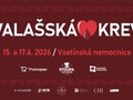 Ilustrační foto.