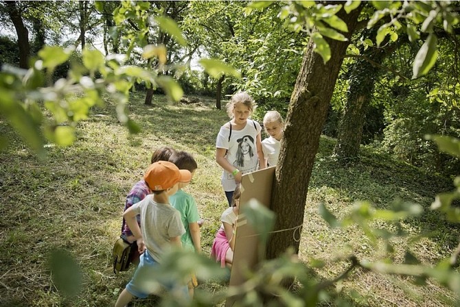 Ekologick projekty podpo kraj vce ne milionovou dotac