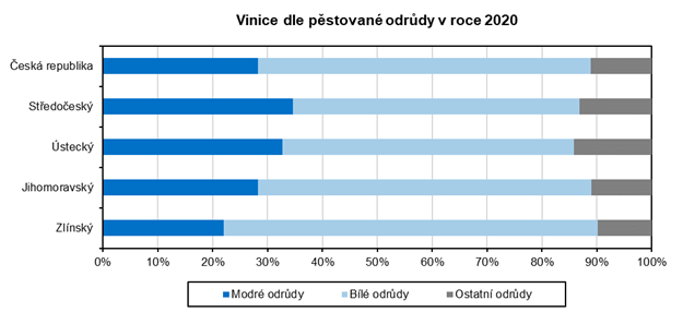 Vinice dle pstovan odrdy v roce 2020