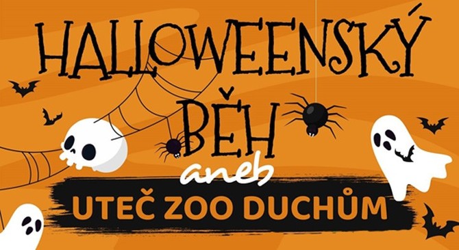 Vez z vizulu Halloweensk bh aneb... v zoo Plze