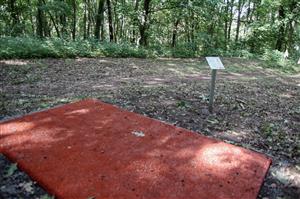 discgolf 11